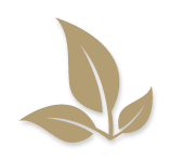 Bronzage au feuilles de henné